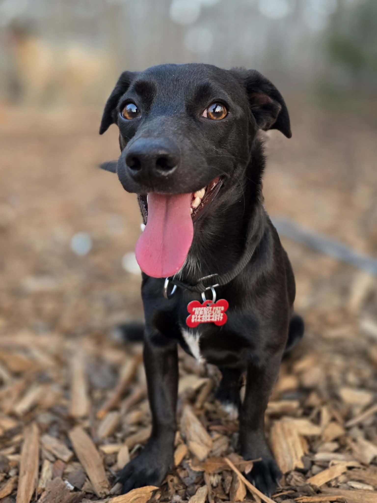 att.ozxO6MAMgaJ2llYSBUNUUriTJafRspNfPeke9FmXY3o