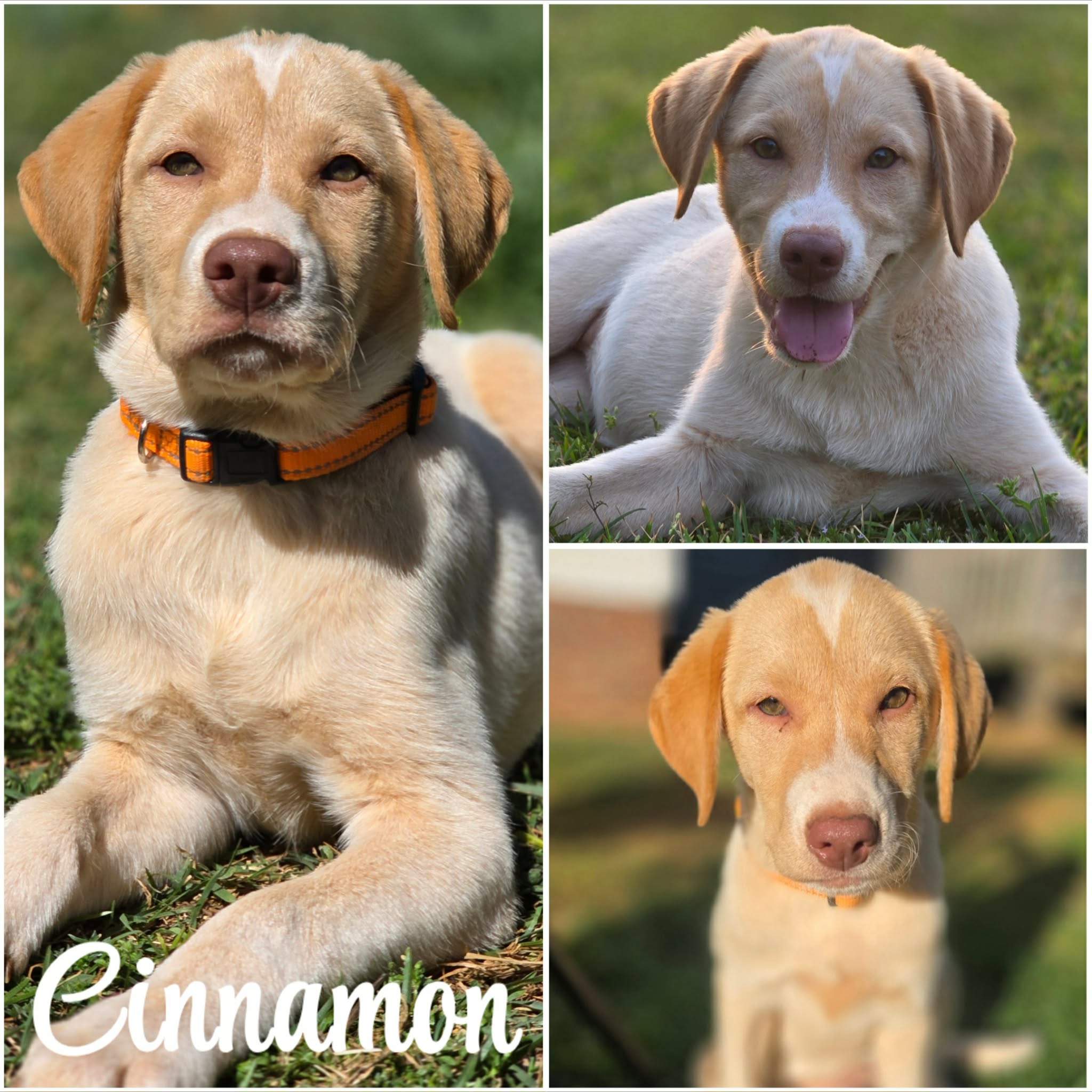 att.4Y3VmrCgN-ugNP4Tt4SB-7wuh61KjgvQlqbEf0oUrco