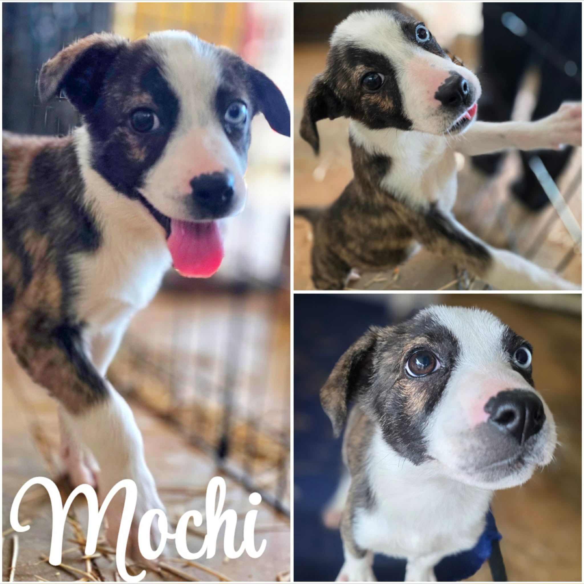 att.OmvmP6NSLPbvtRKXJ7pQ0eA--VP0AwBXEDWR04_QB3E