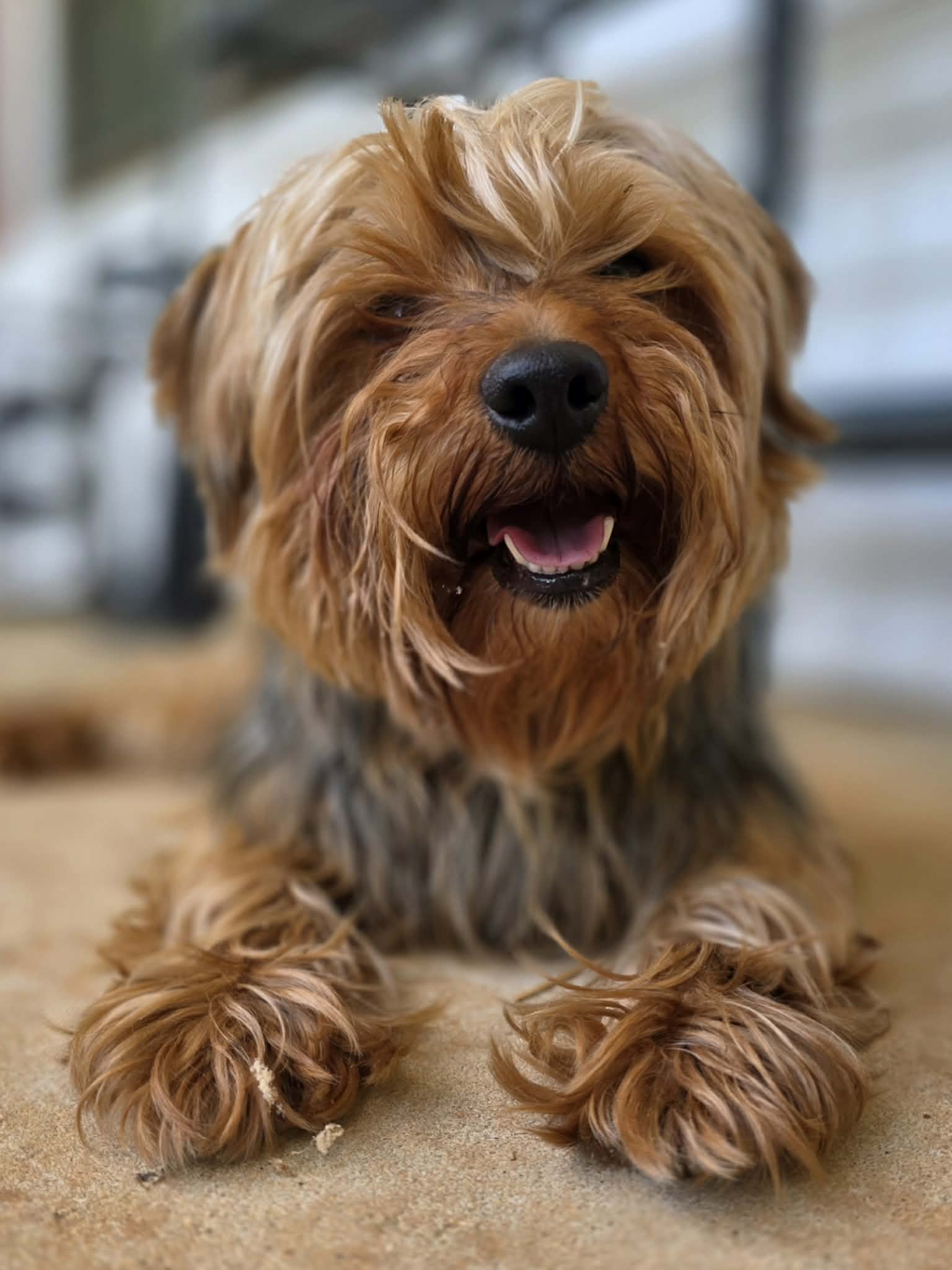 att.WNDQ0CeqWcT4boMkw7q70c-6XHqh2JDzwdCoEzI4A5I