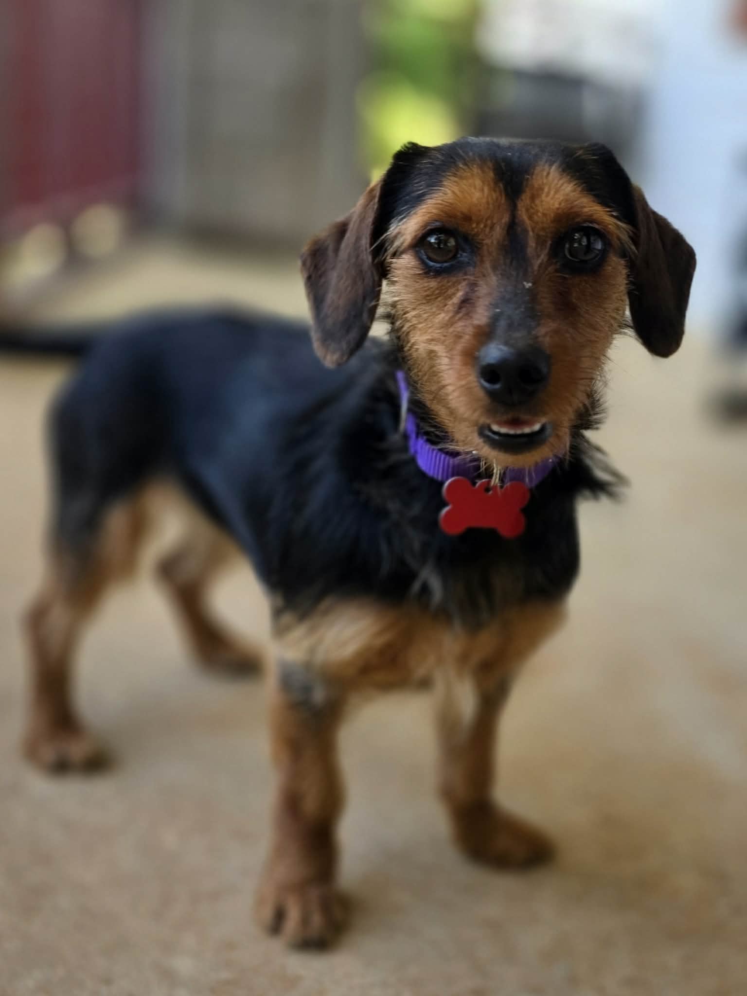 att.bRjQ0DfqoIFa_OVgQEwPBi8WVfKJejFVimU2aOAb6Ek