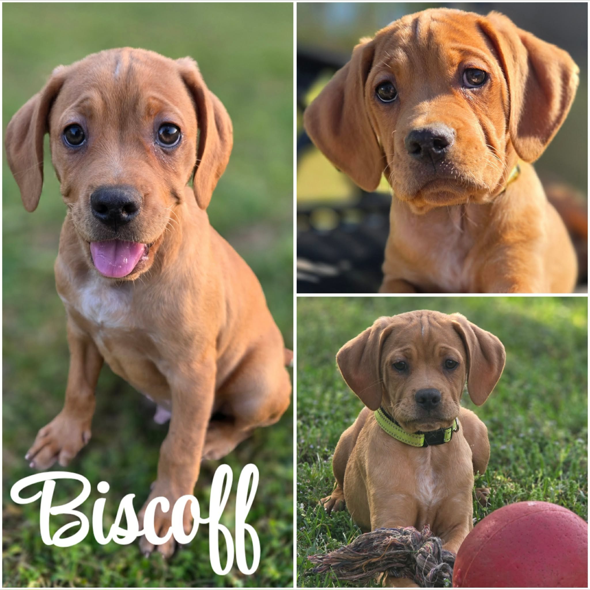 att.i-l2C-NfYXSUTKlesNOIpUgm3ZTyBOdAHaZI7mbl5CE