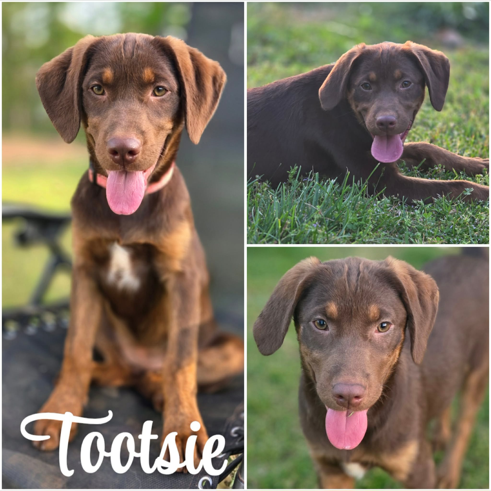 att.nHJVkSWBiEA7xvLVto2NPQRwaIfwKOGt3QghfVsB-k0